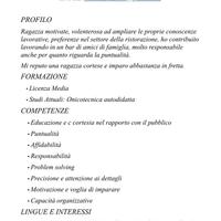 Cameriera/Pulizie/Altro