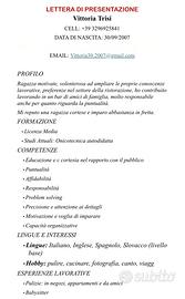 Cameriera/Pulizie/Altro