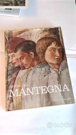 Pitture del Mantegna | Libro d'Arte