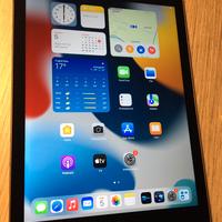Apple iPad air 2 wi fi + cell 64 gb