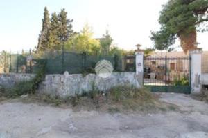 RUSTICO A MISILISCEMI