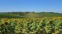 casale-a-baschi