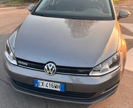 Golf Variant 1.4 TGI Trendline BlueMotion