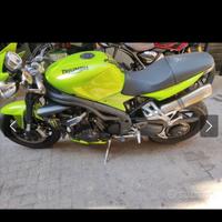 Speed triple 1050 Triumph