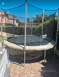 salterino