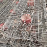 Modulo per Conigli posti 36 (gabbie)