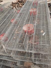 Modulo per Conigli posti 36 (gabbie)