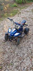 miniquad 50cc