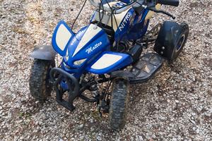 miniquad 50cc