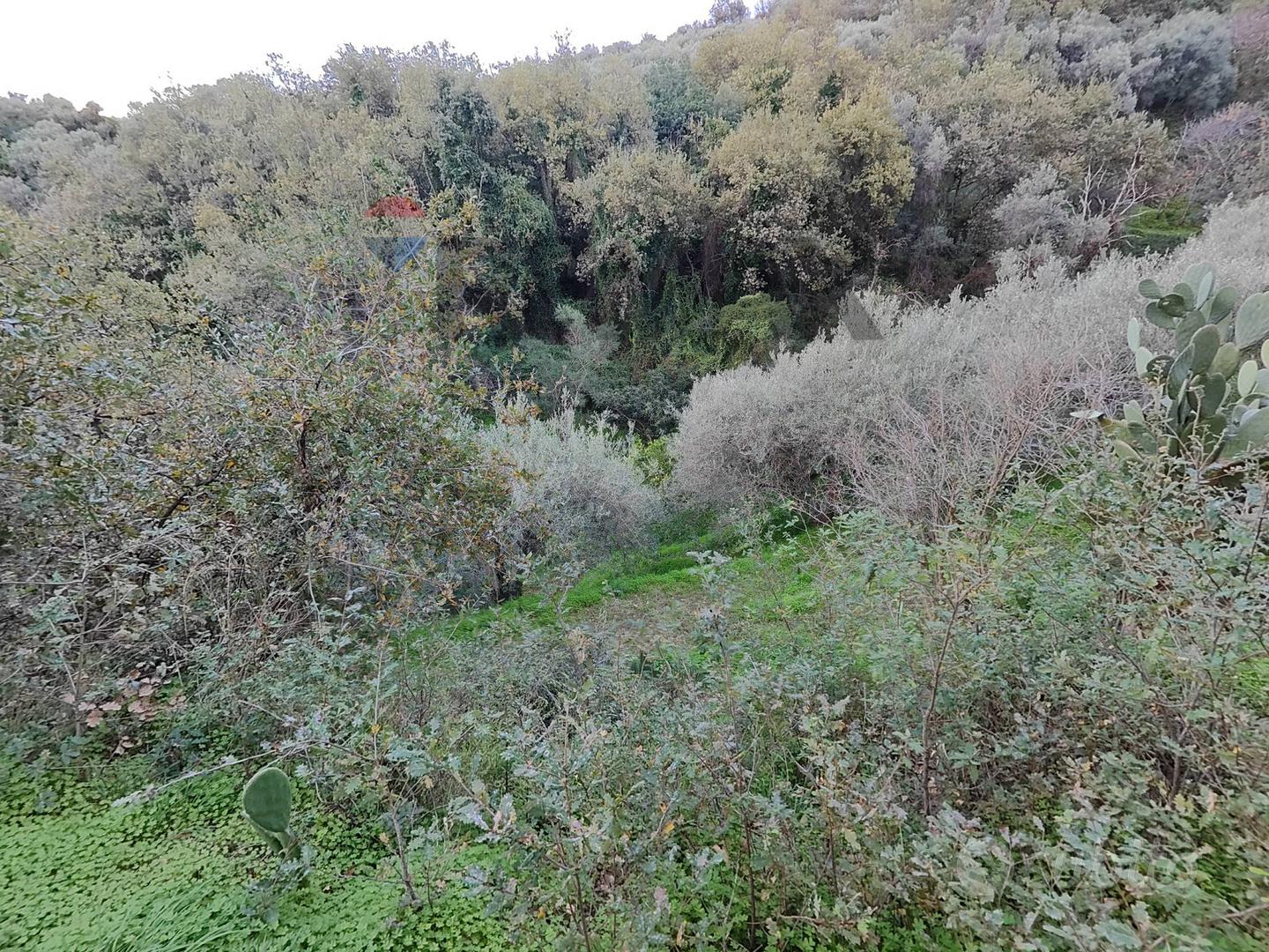 Terreno - Barcellona Pozzo di Gotto - Altro