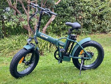 Bicicletta elettrica pieghevole 250w