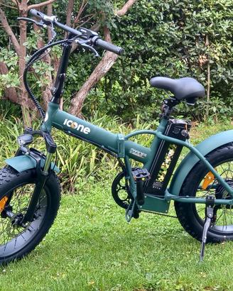 Bicicletta elettrica pieghevole 250w