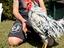 Immagine 1