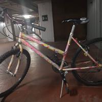 Mountain bike usata