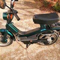 piaggio grillo