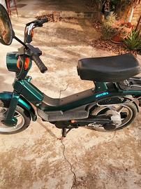 piaggio grillo