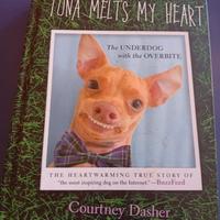 libro in inglese 