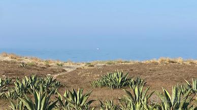 Fronte mare Tor San Lorenzo tutti i mesi estivi