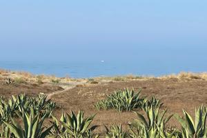 Fronte mare Tor San Lorenzo tutti i mesi estivi