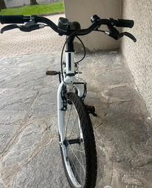 Bicicletta 20 pollici