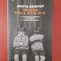 Trilogia della città di K.