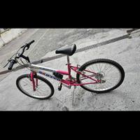 bicicletta mountain bike ruote 24