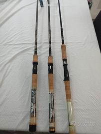 Canne da pesca FENWICK