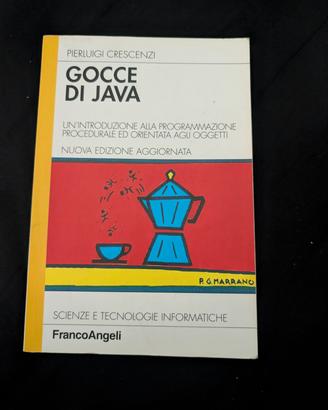 Gocce di Java. Un'introduzione alla programmazione