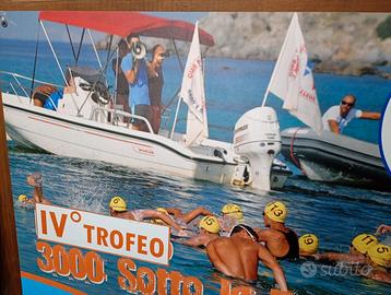 Barca in vetroresina