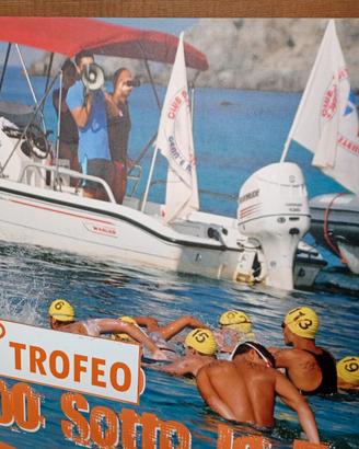 Barca in vetroresina