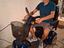 Immagine 6