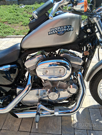 Harley davidson 883