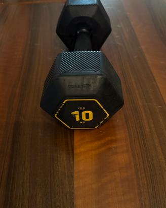 Manubrio Esagonale 10 kg Palestra Decathlon Gomma