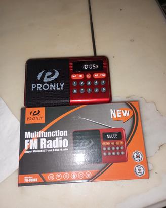 radio fm ricaricabile 