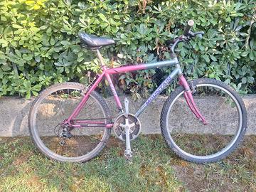 bici mtb 26 da stazione 