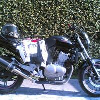 Ovale Carbon Roadsitalia Honda CBF 500