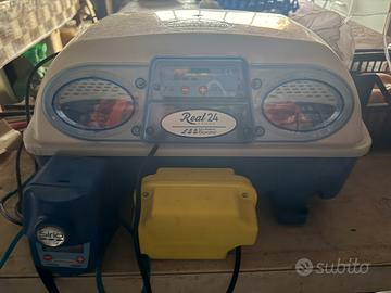 Invubatrice Borotto 24 automatica