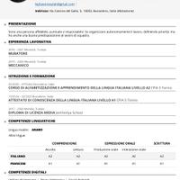 Assistente alla costruzione