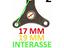 Immagine 7