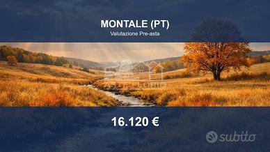 Immobile in asta di 82570 m² a Montale