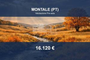 Immobile in asta di 82570 m² a Montale