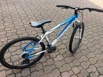 Mountain bike cicli conti 