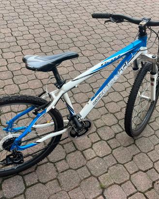 Mountain bike cicli conti 