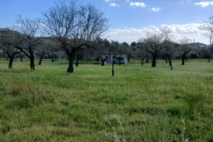 Terreno Edificabile - Avola