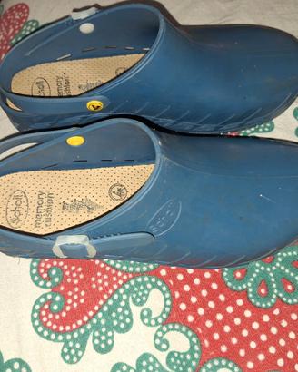 Dottor Scholl
