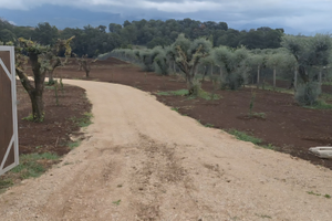 Terreno con immobile