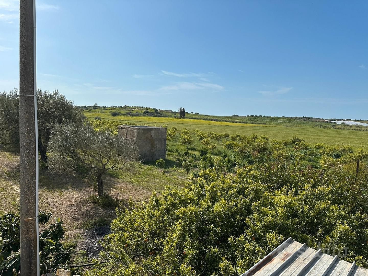 Terreno di 2 ettari con casa da 60mq - Altro
