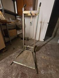 Carrello Alzadamigiana