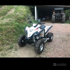 2016 HiSun HS350