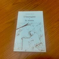 Libro l’immagine e la mente di vincenzo stella